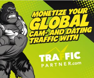 Traffic Partner